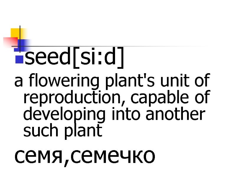 seed[si:d] a flowering plant's unit of reproduction, capable of developing into another such plant